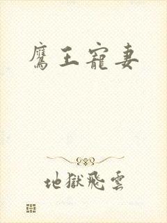 鹰王宠妻封面