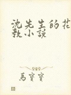 沈先生的花式管教小说
