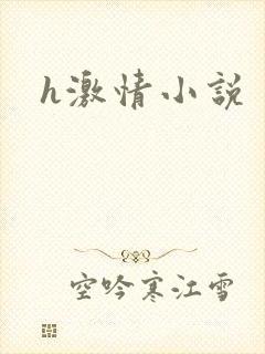 h激情小说封面