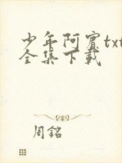 少年阿宾txt全集下载
