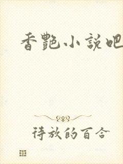 香艳小说吧封面