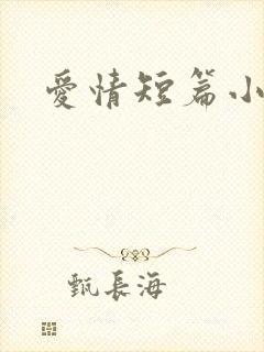 爱情短篇小说封面