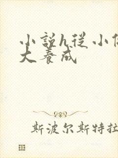 小说h从小做到大养成