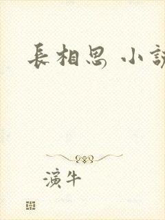 长相思 小说