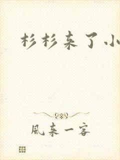 杉杉来了小说封面
