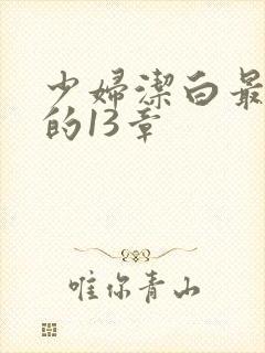 少妇洁白最刺激的13章