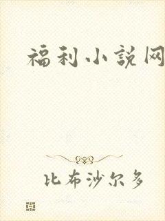 福利小说网