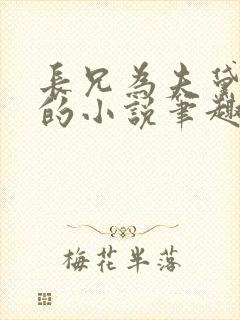 长兄为夫黛珂妃的小说笔趣阁全文