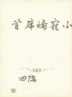 首席娇宠小情人