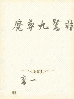 魔尊九鹭非香封面