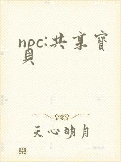 npc:共享宝贝封面