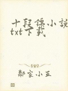十段锦小说全本txt下载