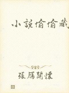 小说偷偷藏不住
