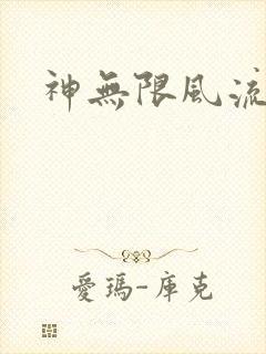 神无限风流封面