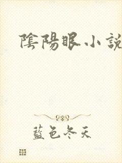 阴阳眼小说