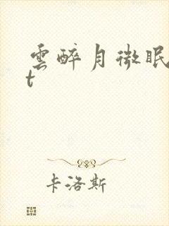 云醉月微眠txt封面