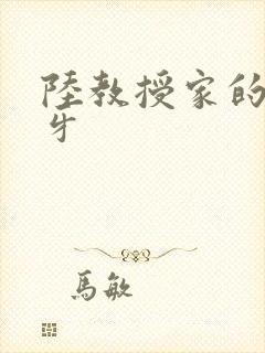 陆教授家的小月牙
