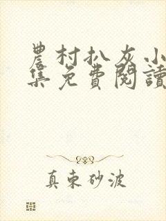农村扒灰小说全集免费阅读