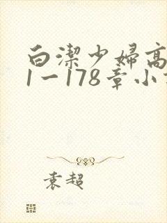 白洁少妇高义第1一178章小说