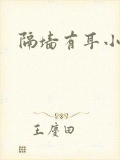 隔墙有耳小说封面