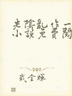 光阴乱作一团的小说免费阅读