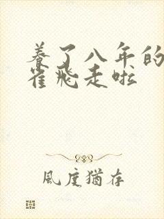 养了八年的金丝雀飞走啦