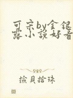 可宋by金银花露小说好看吗