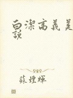 白洁高义美红小说封面