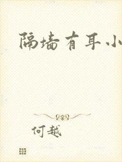 隔墙有耳小说