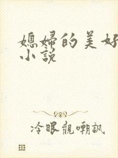 媳妇的美好时代小说