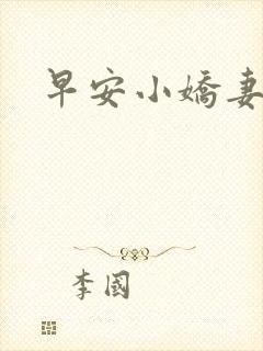 早安小娇妻封面