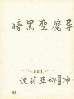 暗黑圣魔导