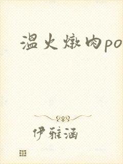 温火炖肉pop