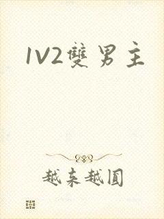 1V2双男主
