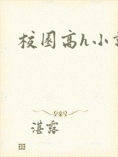 校园高h小说封面