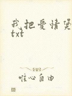 我把爱情煲成汤txt
