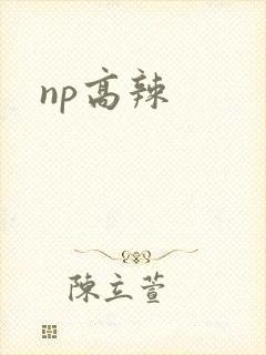 np高辣