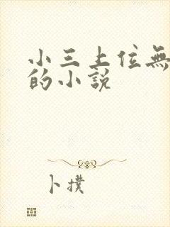小三上位无三观的小说封面