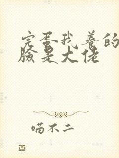 完蛋我养的小白脸是大佬封面