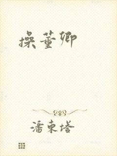 操董卿