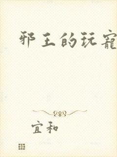 邪王的玩宠