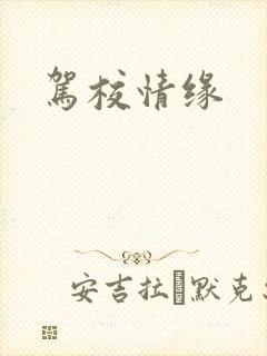驾校情缘