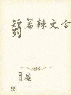短篇辣文合集系列