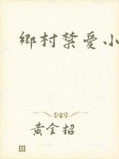 乡村禁爱小说