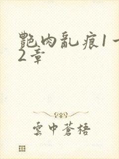 艳肉乱痕1一12章