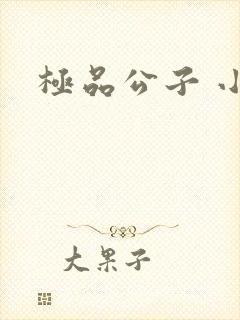 极品公子 小说