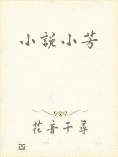 小说小芳