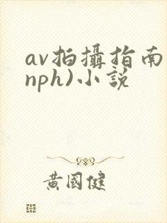 av拍摄指南(nph)小说