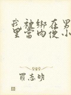 我被绑在男公厕里当肉便小说