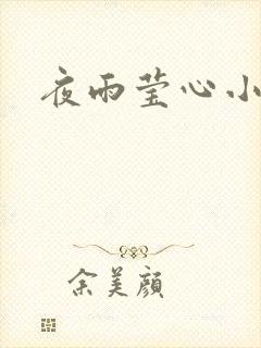 夜雨莹心小说